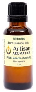 Bottle of pine needle essential oil